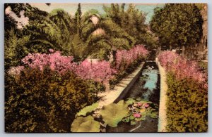 San Antonio Texas~Alamo Park~Acequia Canal~1947 Hand-Colored Albertype Postcard