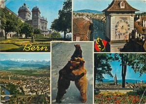 Switzerland Bern bears & multi views