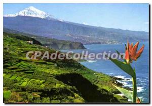 Modern Postcard From Tenerife Foedre