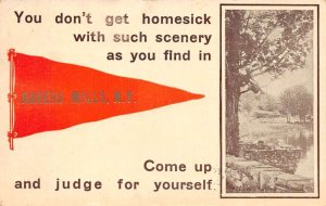 Bakers Mills New York Greetings Pennant Flag Scenic View Postcard AA87548