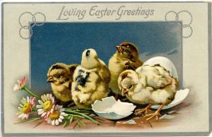 Greeting - Easter. Chick(s)