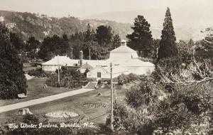 The Winter Gardens Dunedin New Zealand NZ Birdseye RPPC Tanner Bros Postcard D32