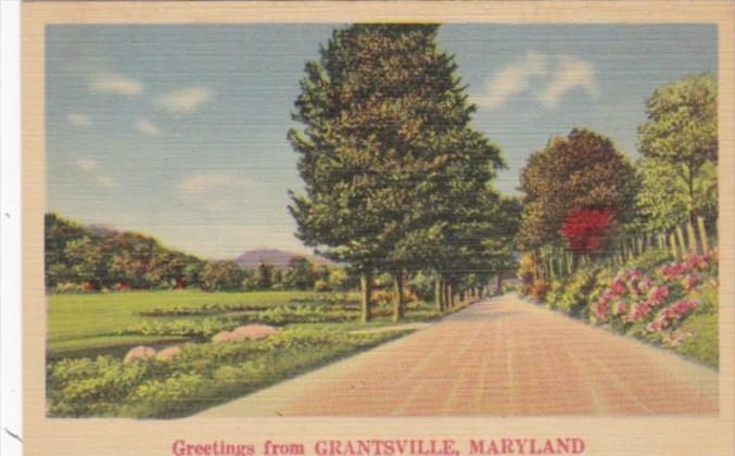 Maryland Greetings From Grantsville Landscape Scene