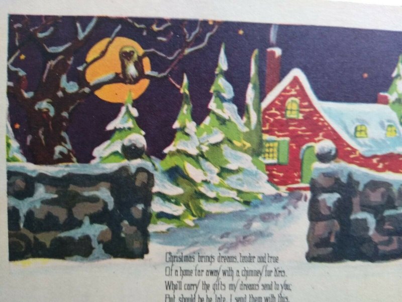 Christmas Postcard Orange Moon Owl Snow Unused W 589 Vintage Original