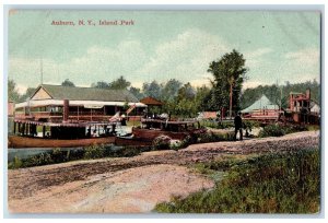 c1910's Island Park Boat Scene Auburn New York NY Antique Unposted Postcard
