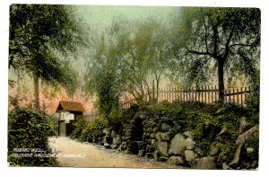 NJ - Palisade Amusement Park. Rustic Well