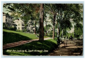 1913 West Ave. Looking North, South Norwalk Connecticut CT Antique Postcard 