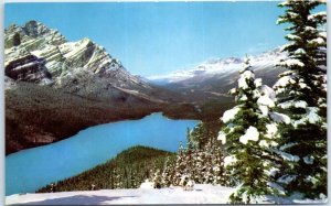 M-87972 Peyto Lake and Mt Patterson Banff National Park Canada