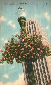 Vintage Postcard 1957 Flower Blooms Stands Streetlight Allentown Pennsylvania PA