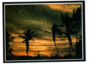 Fabulous Sunset, Palms,  Florida