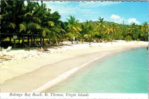 St Thomas, US Virgin Islands  BOLONGO BAY BEACH  Sunbathers/Palms  4X6 Postcard