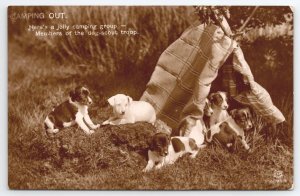 RPPC Camping Out Adorable Puppies Tent Scene Dogs Real Photo Postcard S27