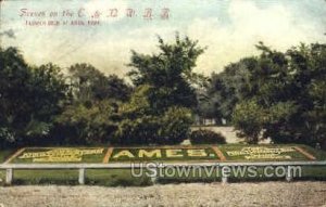 Flower Beds - Ames, Iowa IA