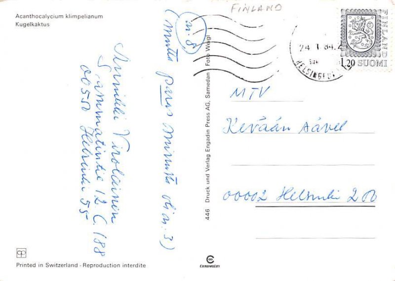 Acanthocalycium klimpelianum Finland, Suomi 1984 