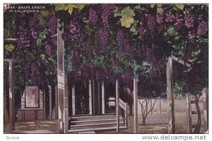 Grape Arbor in California, 00-10s