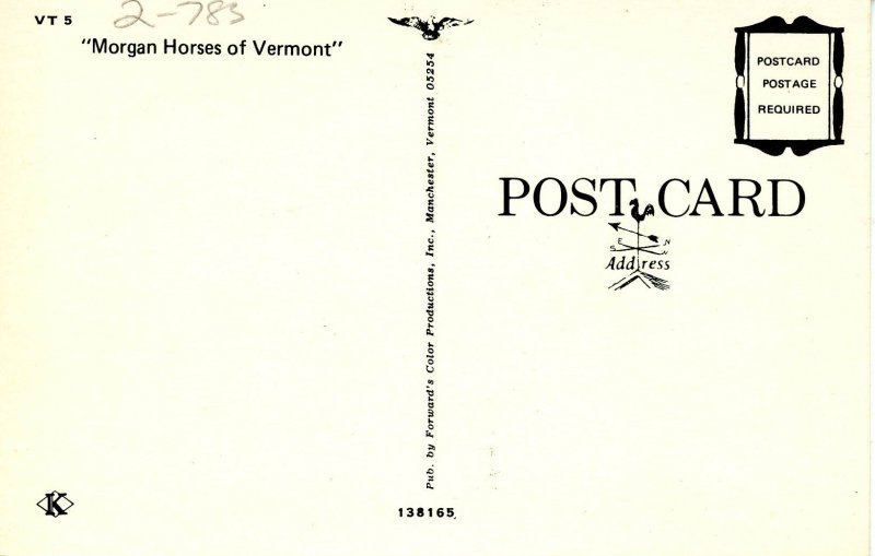 VT - Morgan Horses