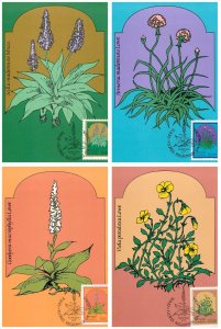 Full set of 4 Maxi Cards - Flowers of Madeira