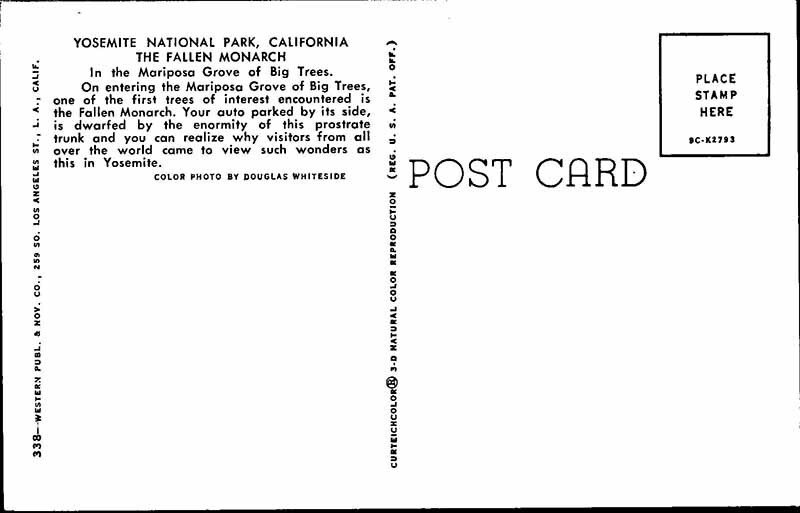 Postcard HIGHWAY SCENE State of California CA AK7338