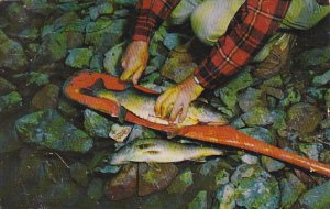 Fisherman's Delight Man Fileting Fish