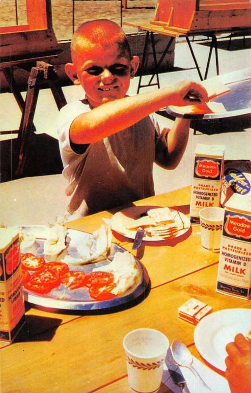 Posey California Poso Heights YMCA Camp Boy Making Lunch Vintage Postcard J76194