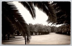 Mexico RPPC Castillo Chapultepec Beautiful Palm Trees Real Photo Postcard B31