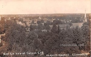 Birds Eye View in Carson City, Michigan