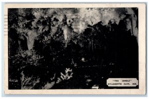 1948 Jungle Wyandotte Cave Evansville Indiana IN Vintage Antique Posted Postcard