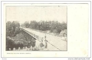 The Rosedale Ravine Bridge,Toronto,Canada,PU-1905