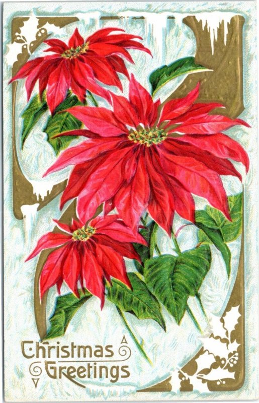 Christmas classic early post card unused unposted Poinsettias