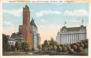 Lot128 sherry netherlands and savoy plaza hotel new york city usa