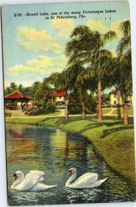 postcard St. Petersburg, Florida - swans at Round Lake