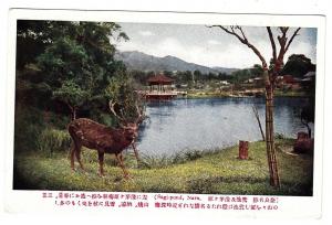 BR101085 sagi pond nara deer   japan