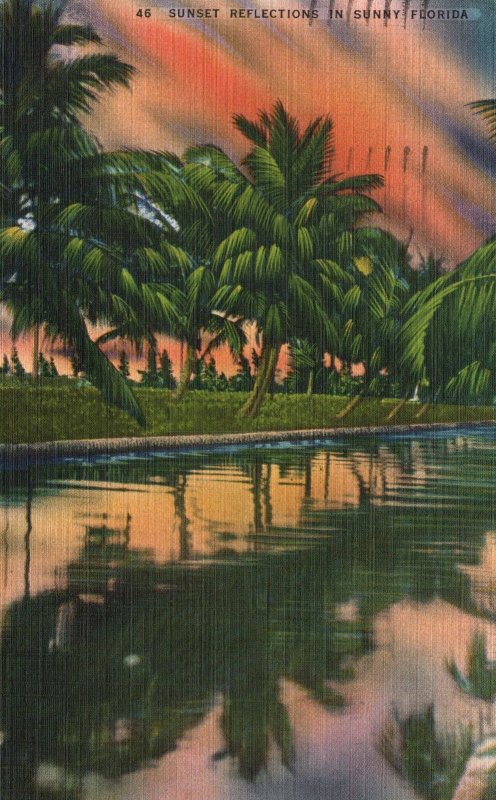 Vintage Postcard 1945 Sunset Reflections in Sunny Florida Coconut Palm Trees FL