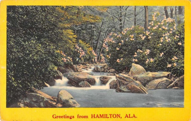 Hamilton Alabama birds-eye forest stream greetings from antique pc CC8