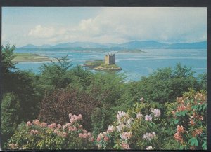 Scotland Postcard - Castle Stalker, Appin, Argyllshire       T4049