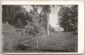 1911 Mari-Castle Park Scene Randolph Vermont Forest View Antique Posted Postcard