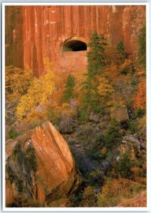 Postcard - Windows In The Navajo Sandstone Cliff, Zion National Park - Utah