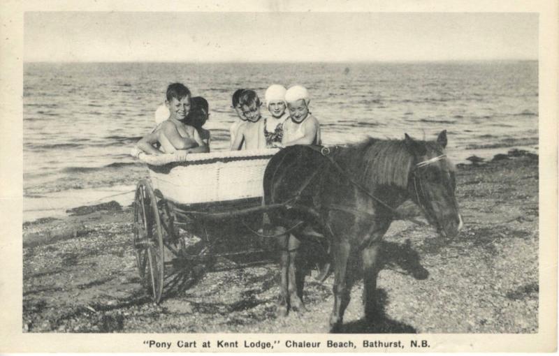 Pony Cart at Kent Lodge Chaleur Beach ~ Bathurst NB New Brunswick c1946 Postcard