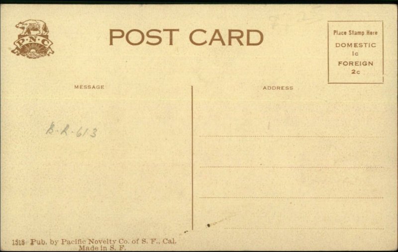 North Yakima WA NP RR Train Depot Station c1910 Postcard