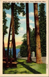 Lake Itasca from Douglass Lodge Itasca State Park Minnesota Postcard PC186