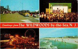 Wildwood By The Sea NJ Concert Shell Night Multiview Unused Postcard F57