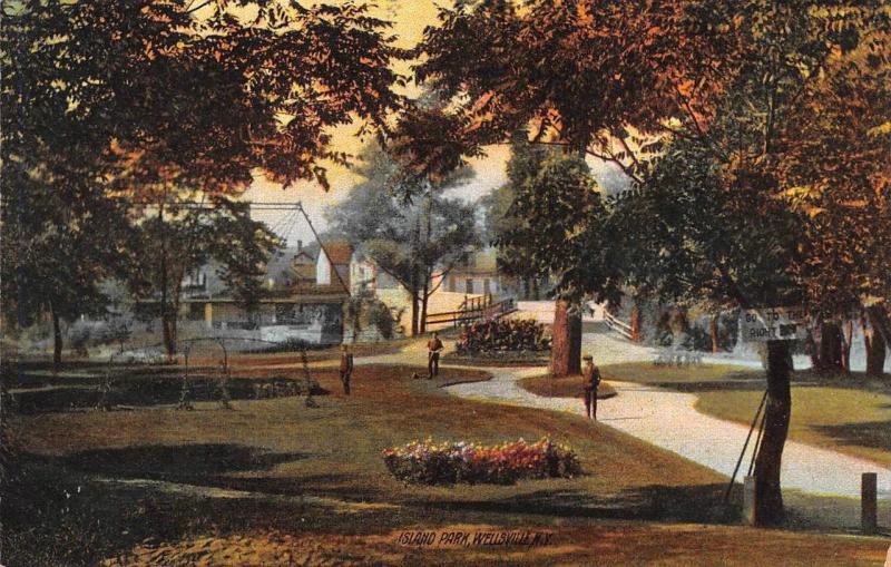 WELLSVILLE, NY New York  ISLAND PARK & HOMES  Allegany County  1908 Postcard