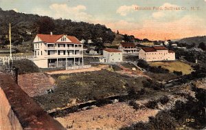 Bird's Eye View Minisink Ford New York  