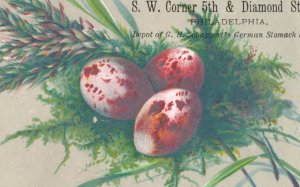 1880s-90s George H. Schappert's Saloon Birds' Eggs Set Of 4 Fab! P125