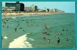 Virginia. Virginia Beach - Bathers Enjoying The Surf - [VA-647]