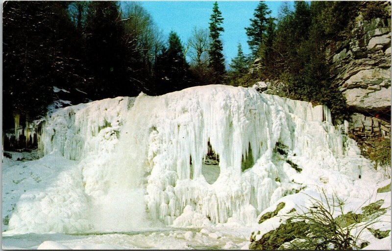 Blackwater Falls Winter State Park Davis Tucker County West Virginia WV Postcard 