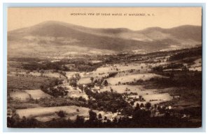 1937 Mountain View Of Sugar Maples Maplecrest New York NY Vintage Postcard 