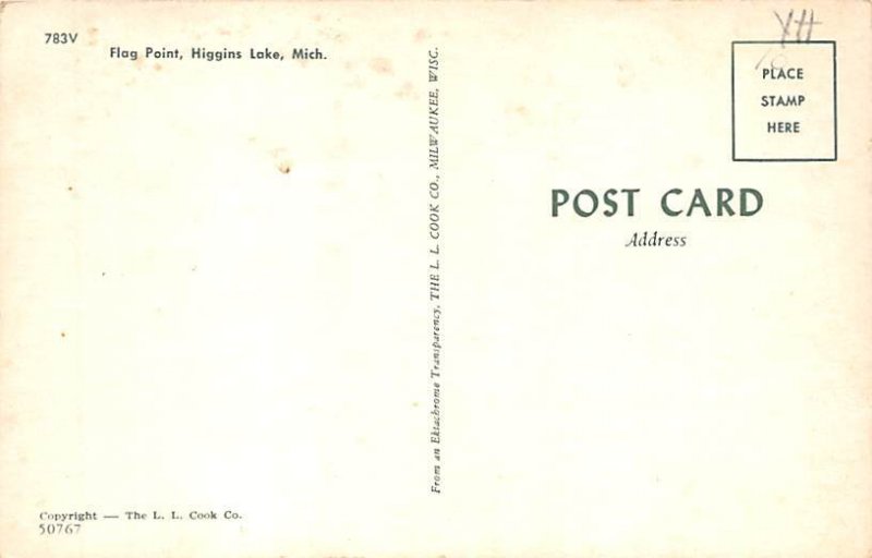 Flag Point  Higgins Lake MI 
