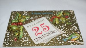 Merry Christmas Calendar Page Bird Holly Postcard