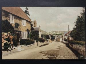 Dorset CHIDEOCK MAIN STREET near Bridport - Old Postcard by W Frost Series 72805